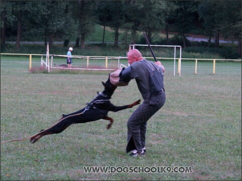 Training camp - Lukova 2007